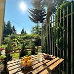 Apartman With Terrace & Free Parking